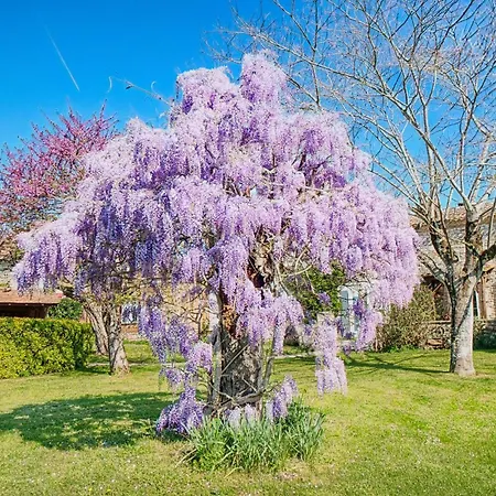 Amazing In With Private Swimming Pool, Be Inside Or Outside Holiday home *